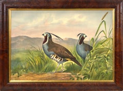 Antique Chromolithograph of Quail