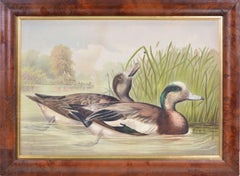 Group of Six Water Fowl