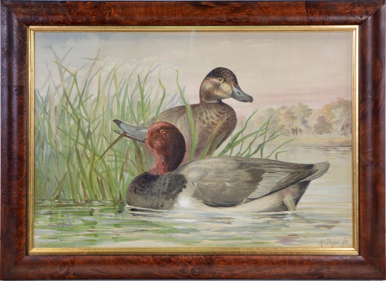 Alexander Pope Jr. Animal Print - Group of Six Water Fowl