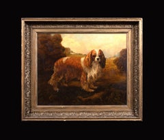 Portrait Of "Biscuit" A King Charles Spaniel, circa 1900