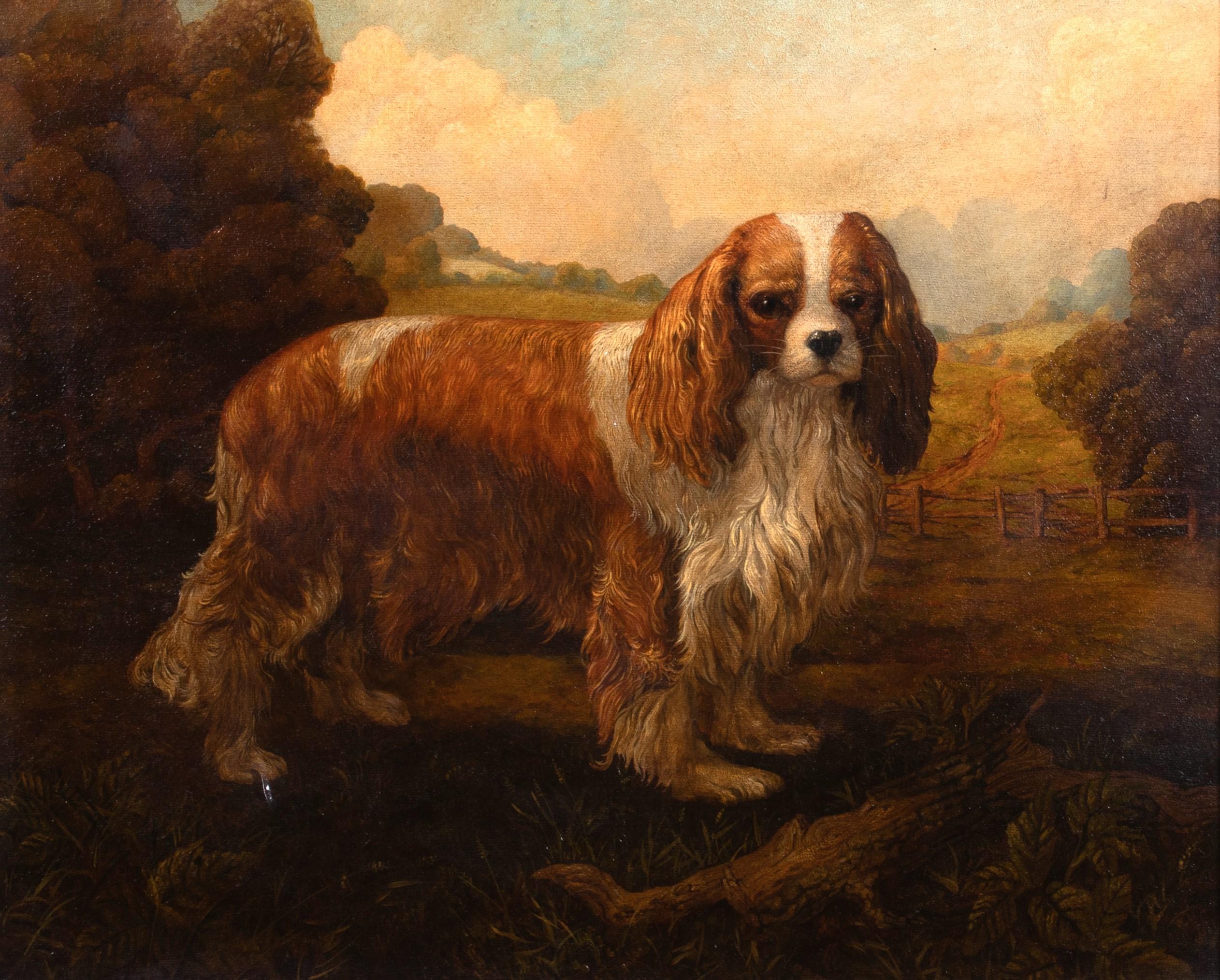 Portrait d'un pagneul du roi Charles iscuit , vers 1900 - Marron Animal Painting par Alexander Pope