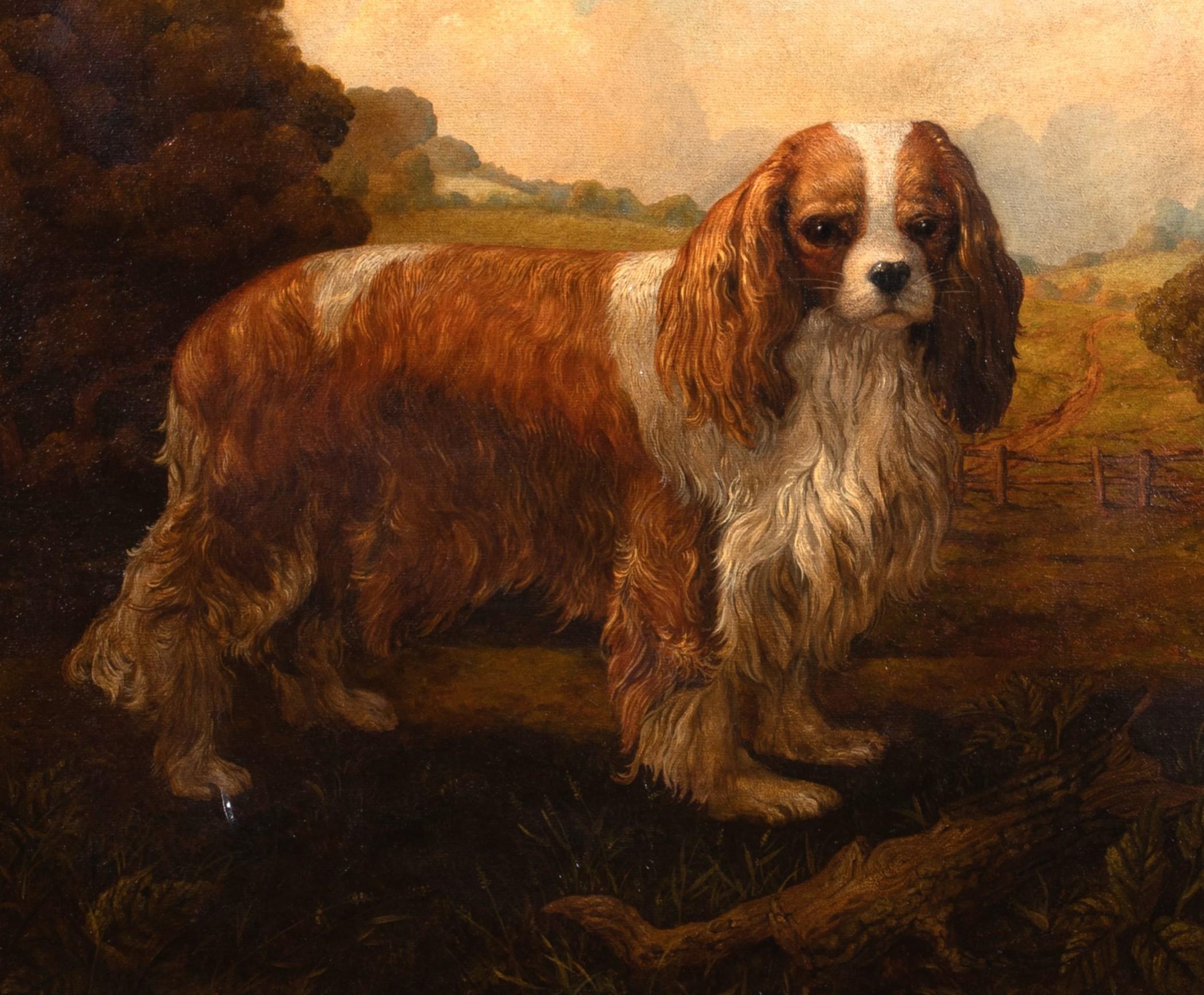 Portrait d'un pagneul du roi Charles iscuit , vers 1900 1