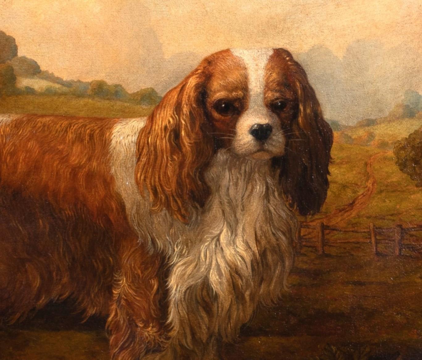 Portrait d'un pagneul du roi Charles iscuit , vers 1900 2
