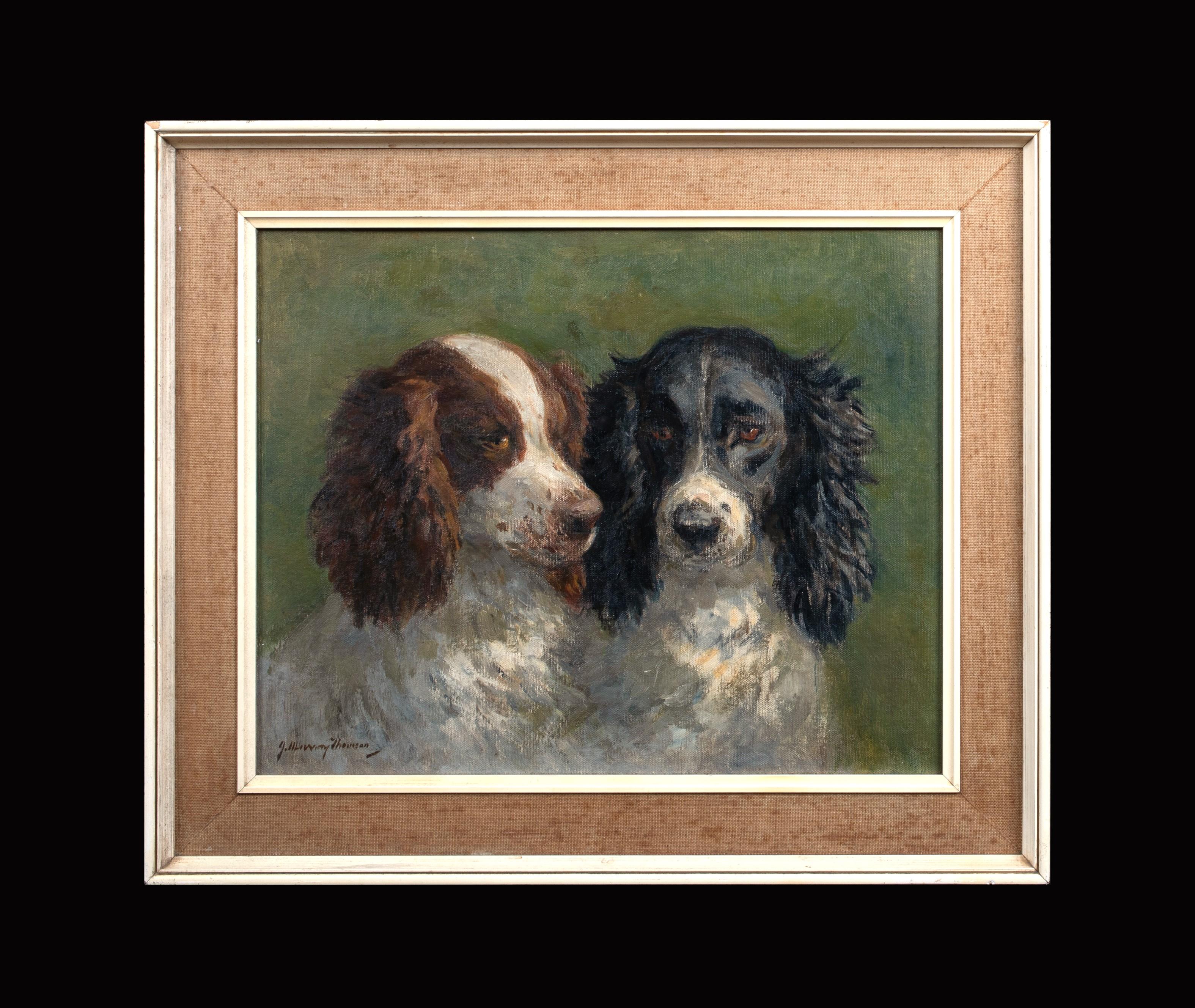 Portrt von Honey & Napoleon, ein Paar englische Springer Spaniels, um 1910 (Schwarz), Animal Painting, von Unknown