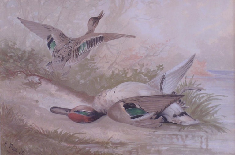 Alexander Pope Green Winged Teal For Sale At 1stdibs