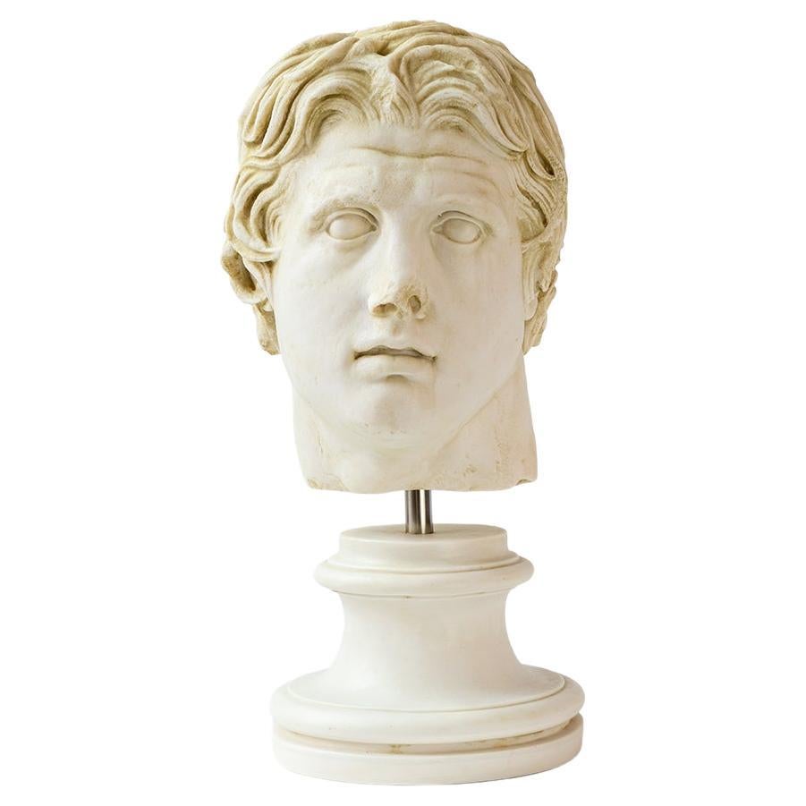 Grand buste d'Alexander en marbre comprimé / grande statue