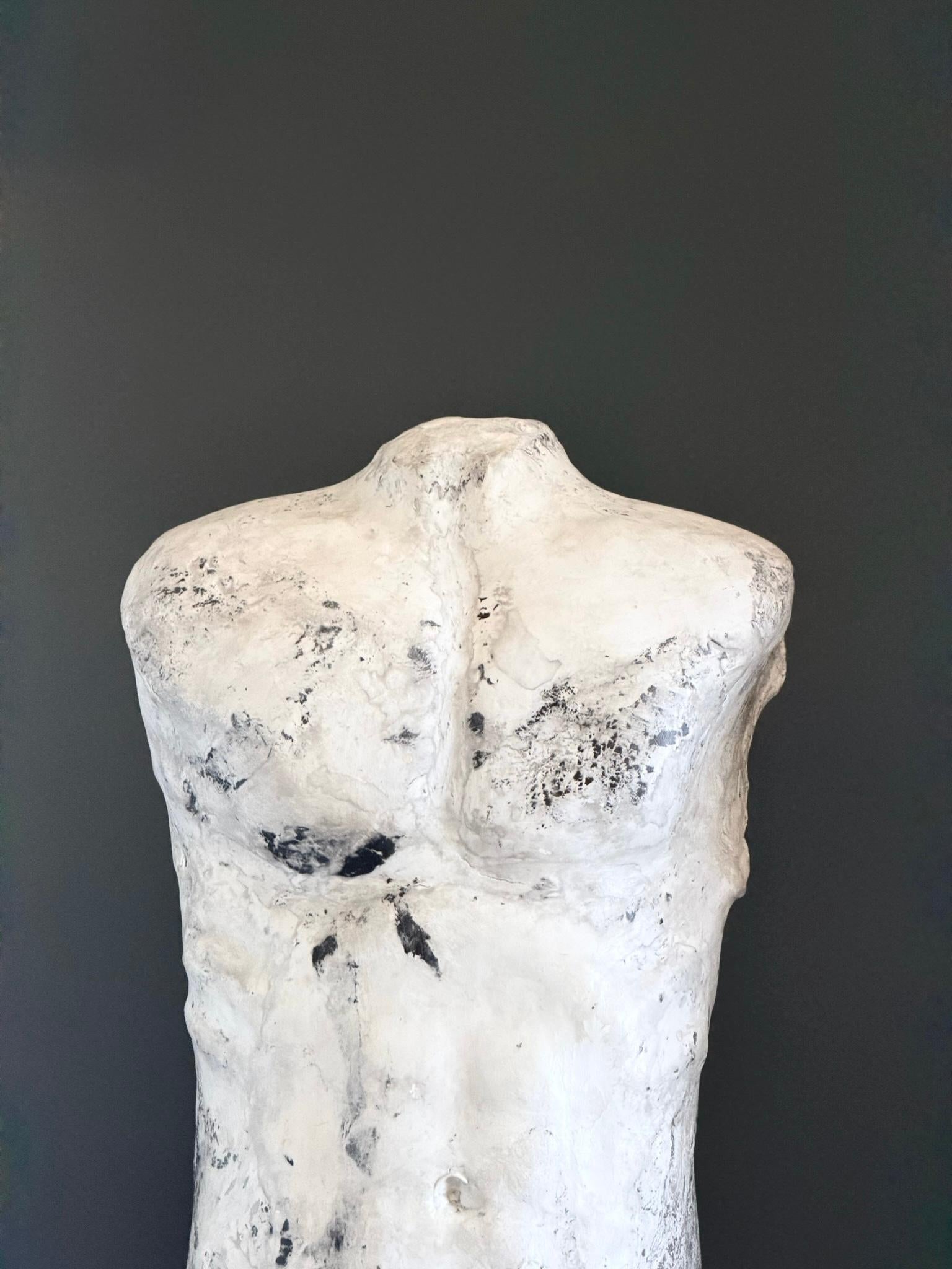 A tribute to the classical heroic torso—weathered, defiant, and stripped of narrative yet never of presence. This study captures the echo of antiquity through a contemporary lens, celebrating form not as perfection but as endurance.

Inspired by the