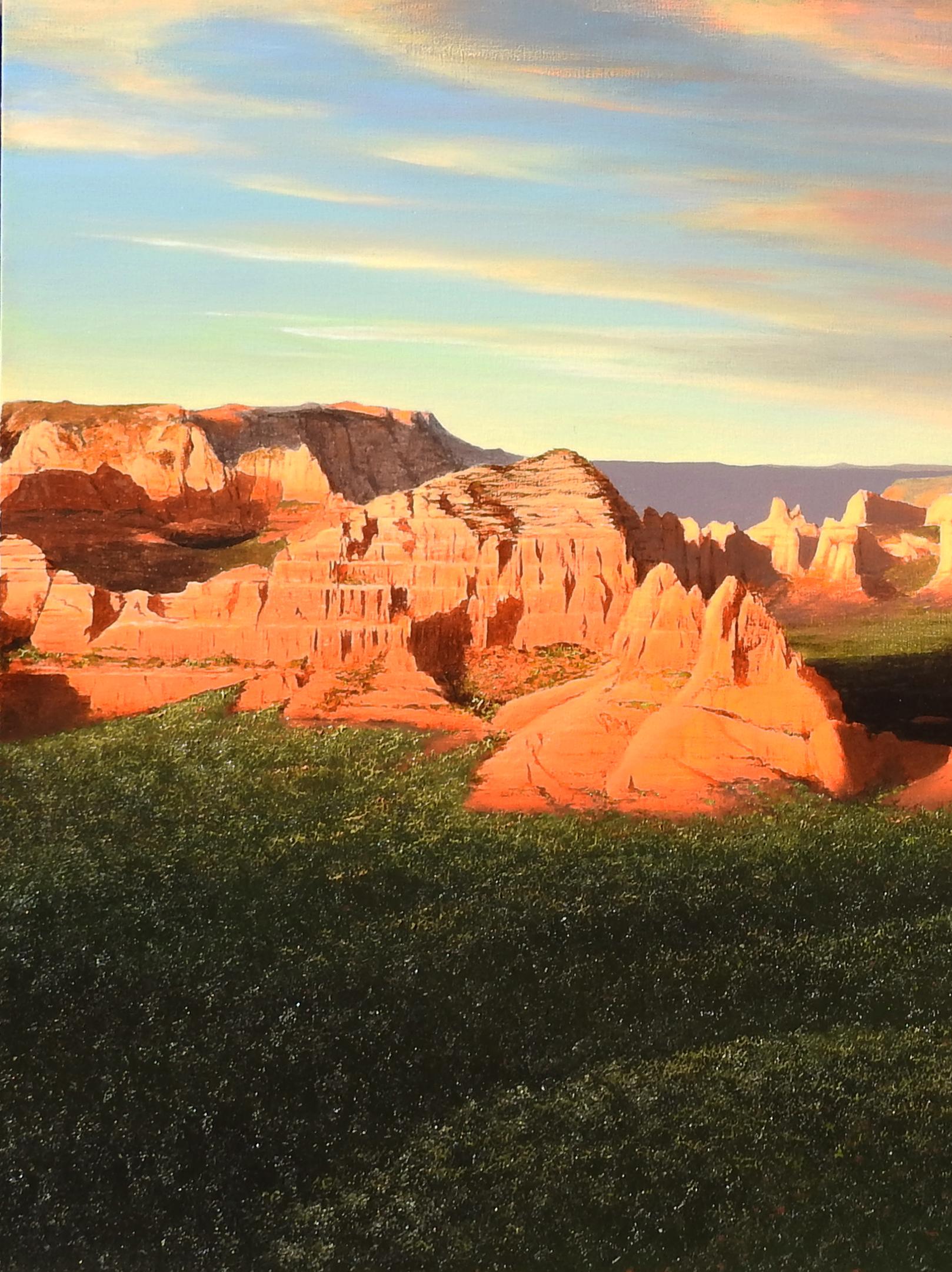 « Huit vols au-dessus de roches rouges de Sedona », Alexander Volkov, huile sur toile, paysage en vente 3