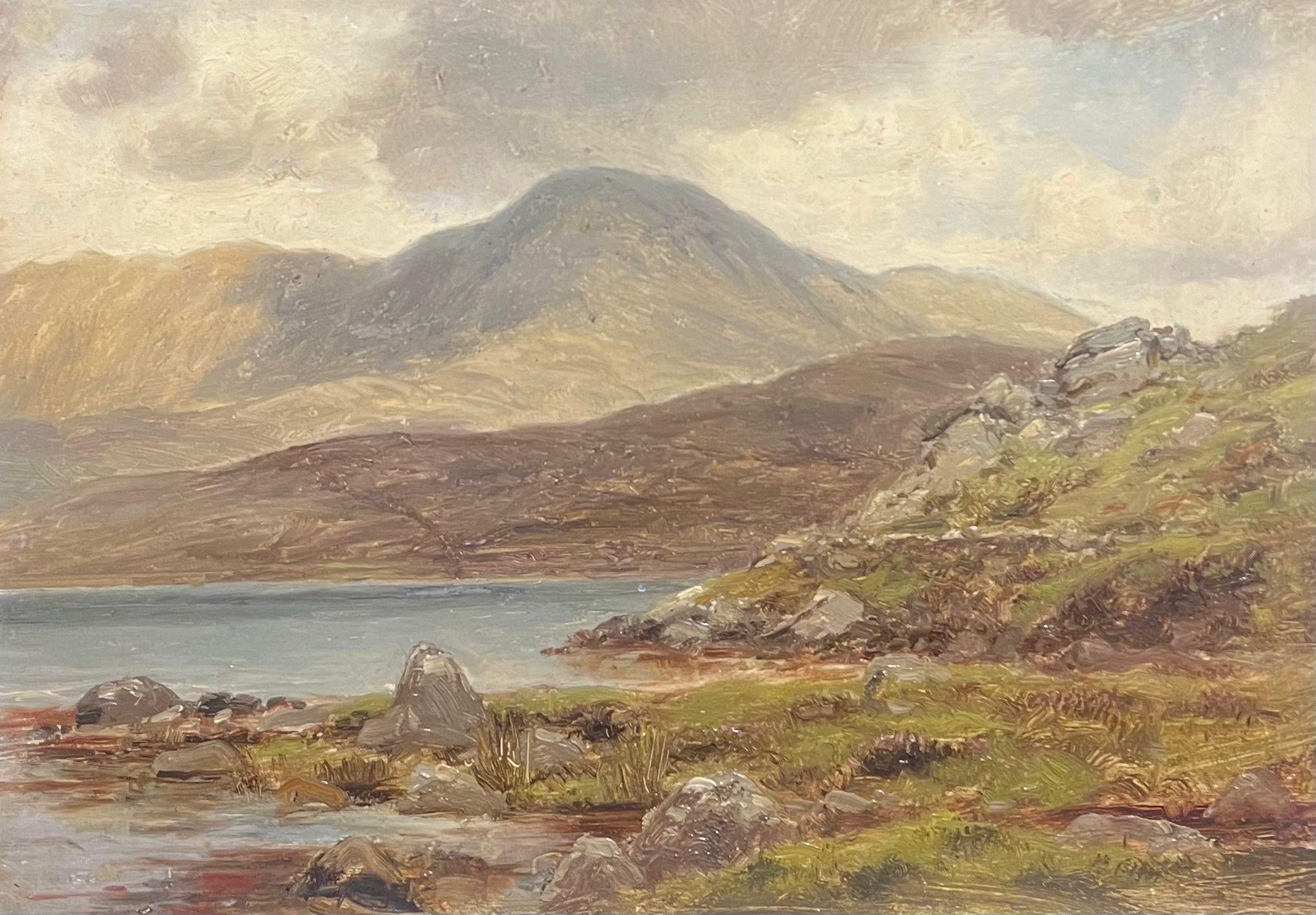 Killary Bay Leenane Connemara Ireland Antique Oil Painting Lake Landscape - Beige Landscape Painting by Alexander Williams