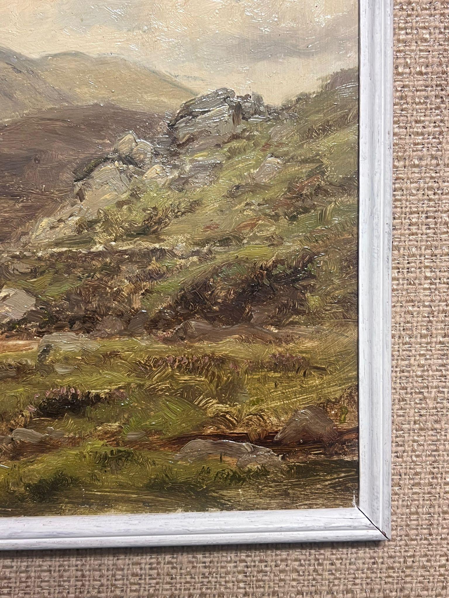 Killary Bay Leenane Connemara Ireland Antique Oil Painting Lake Landscape For Sale 3