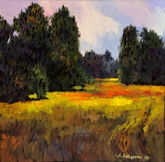 Echoes of Summer