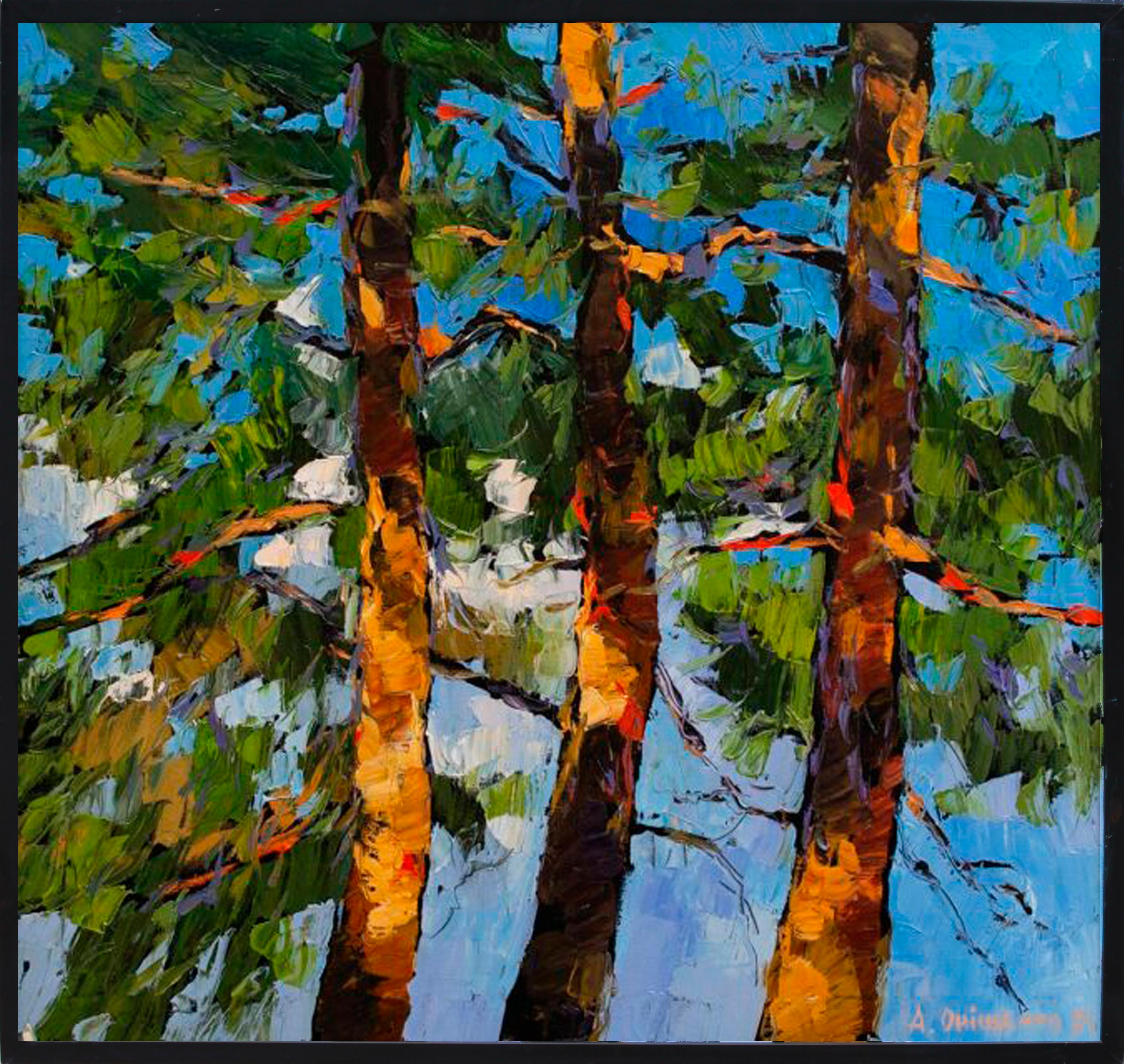 Pine Trees