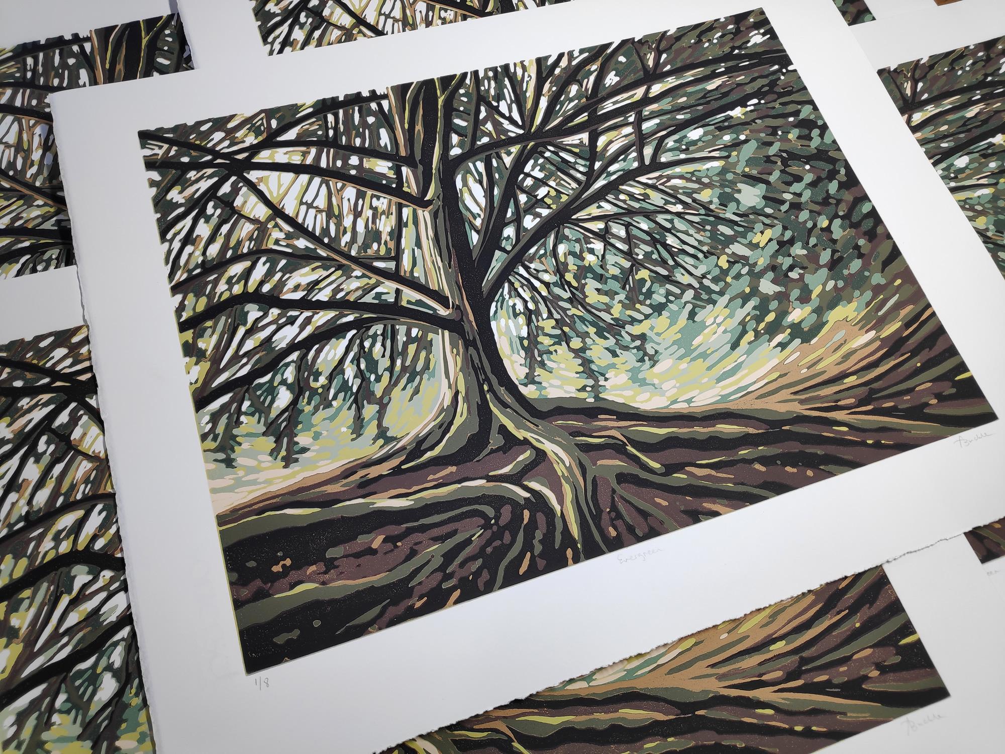 Evergreen, Alexandra Buckle, impression en édition limitée, art de paysage à vendre - Noir Landscape Print par Alexandra Buckle 