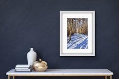 Alexandra Buckle, Sombras de nieve, Impresión de paisaje en edición limitada