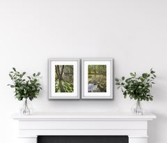 Summer Woodland Pond and Trow Pool Sun Diptych