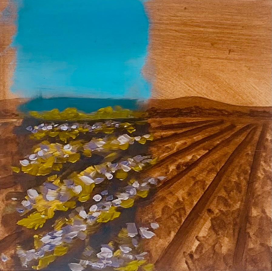 "Campi di lavanda" (2023) di Alexandra Hansen, pittura ad olio originale di un paesaggio