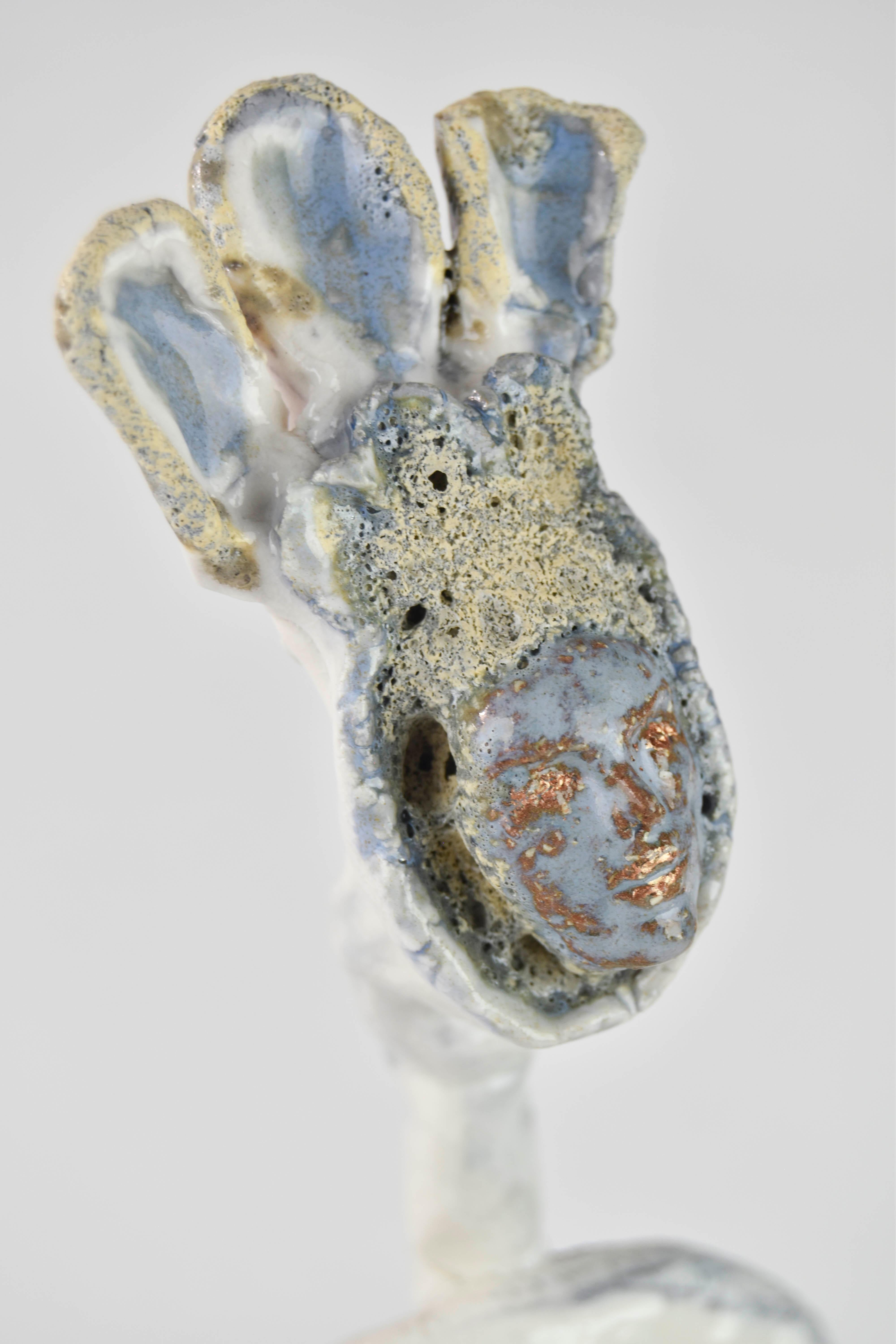 Terrestrial Anima For Sale 4