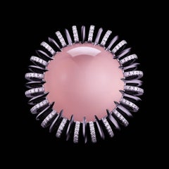 Alexandra Mor Curved Knife-Edge Ring with Star Rose Quartz Cabochon