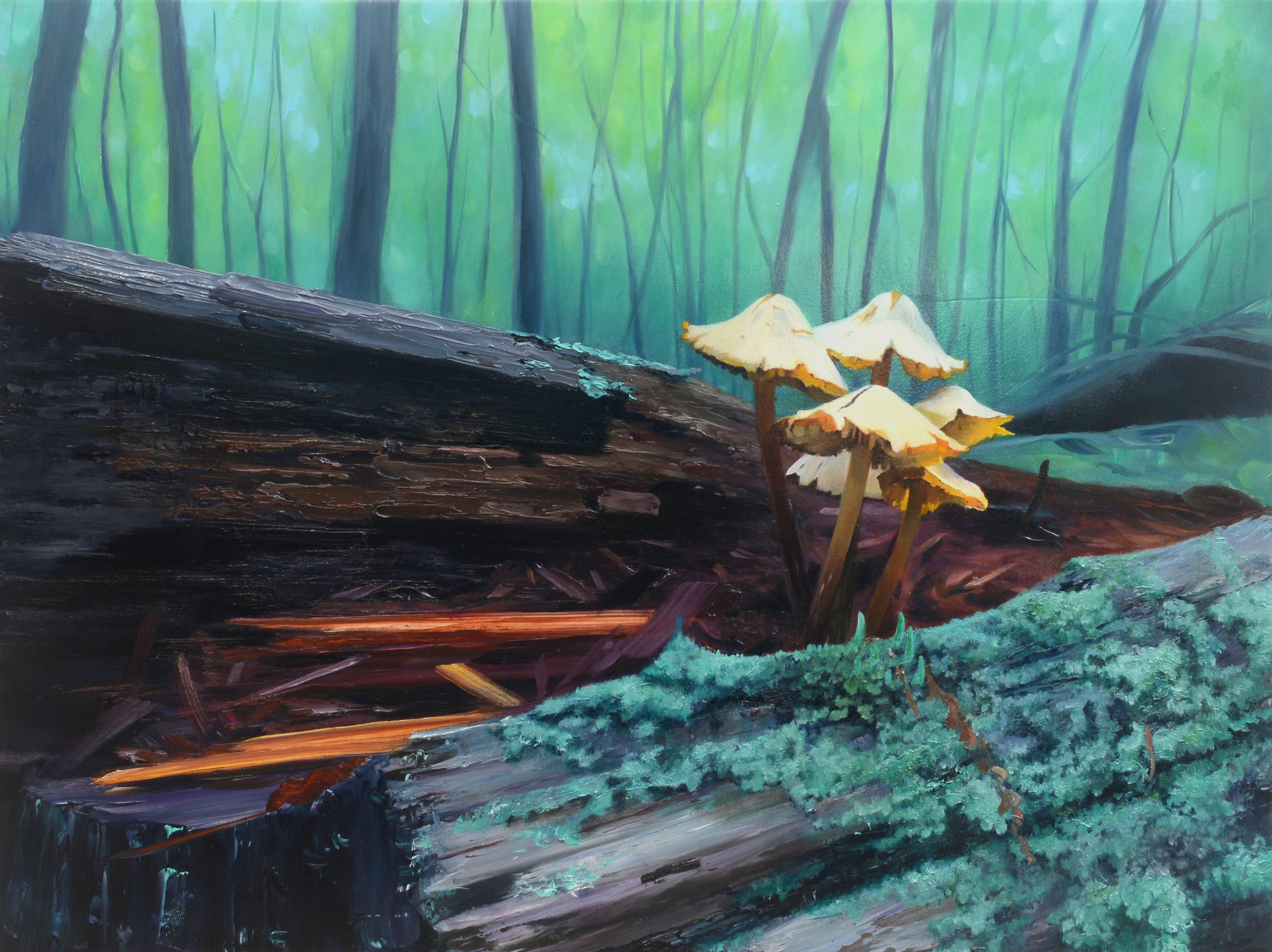 Alexandra Pacula Landscape Painting – MUSHROOM FOREST – Darstellung von Flora / Grün / Nordosten Nature Walk