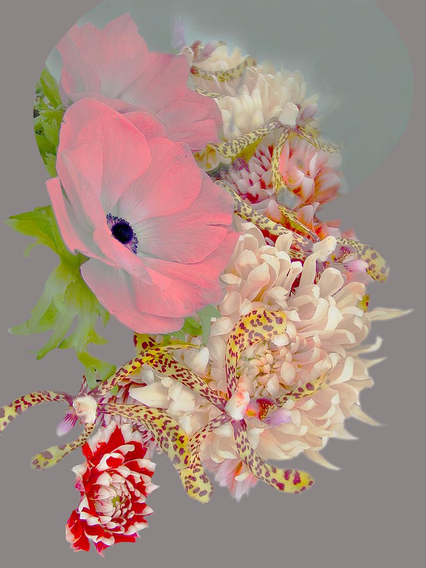 Alexandra Penney Landscape Photograph - Whispering Flower