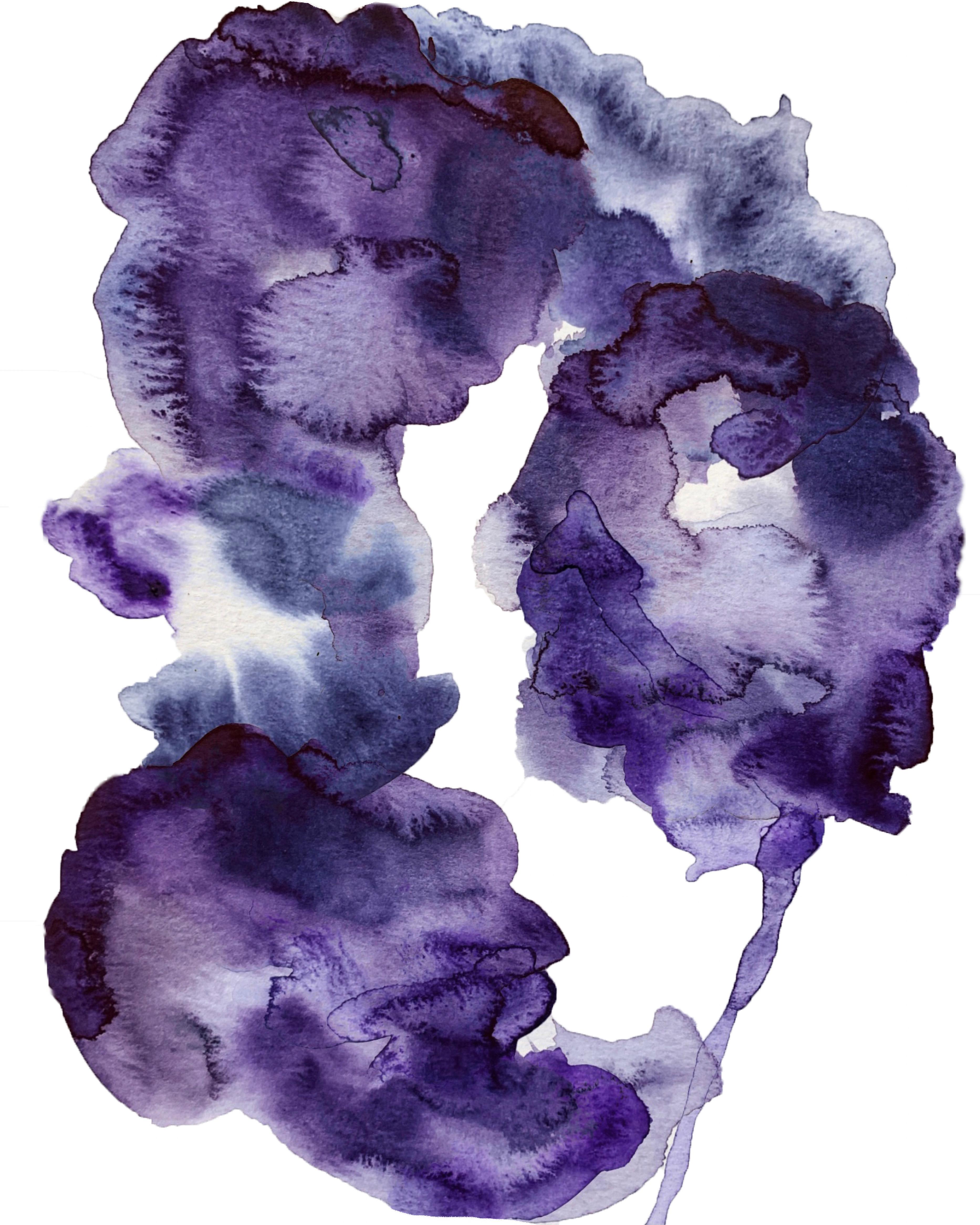 Hydrangeas - Print by Alexandra Penney
