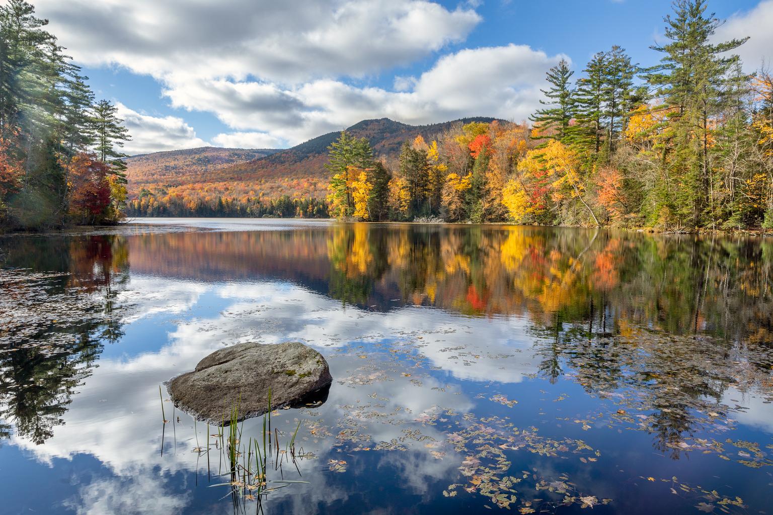 Alexandra Steedman Color Photograph - "Early Morning", Color Nature Photography, Landscape, Trees, Autumn, Yellow