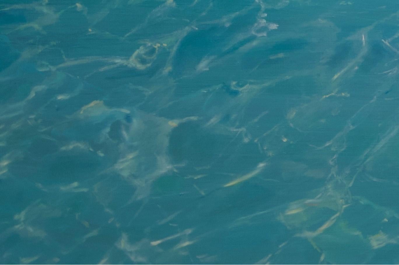 „Ocean Reflections - Immerse Yourself“,  Ölgemälde von Alexandra Telgmann im Angebot 3