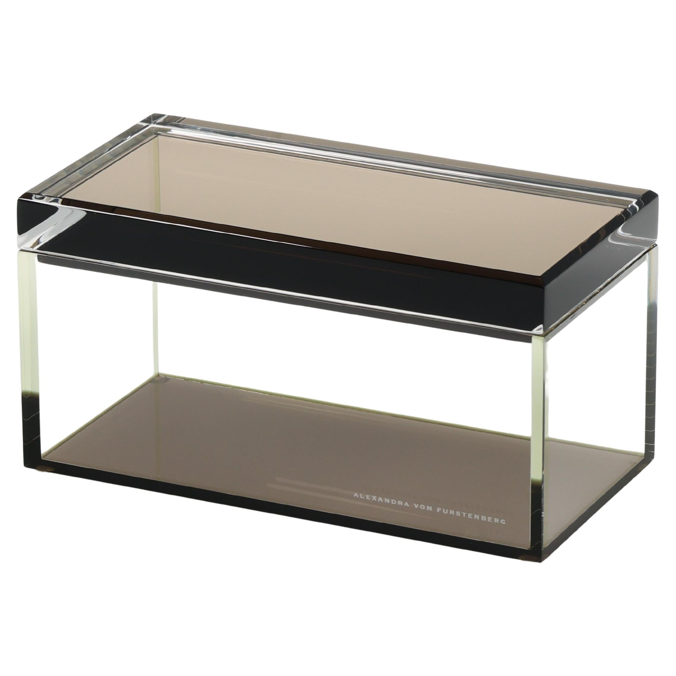 Alexandra Von Furstenberg Acrylic Treasure Box in Bronze - Medium Storage Box