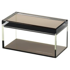 Alexandra Von Furstenberg Acrylic Treasure Box in Bronze - Medium Storage Box