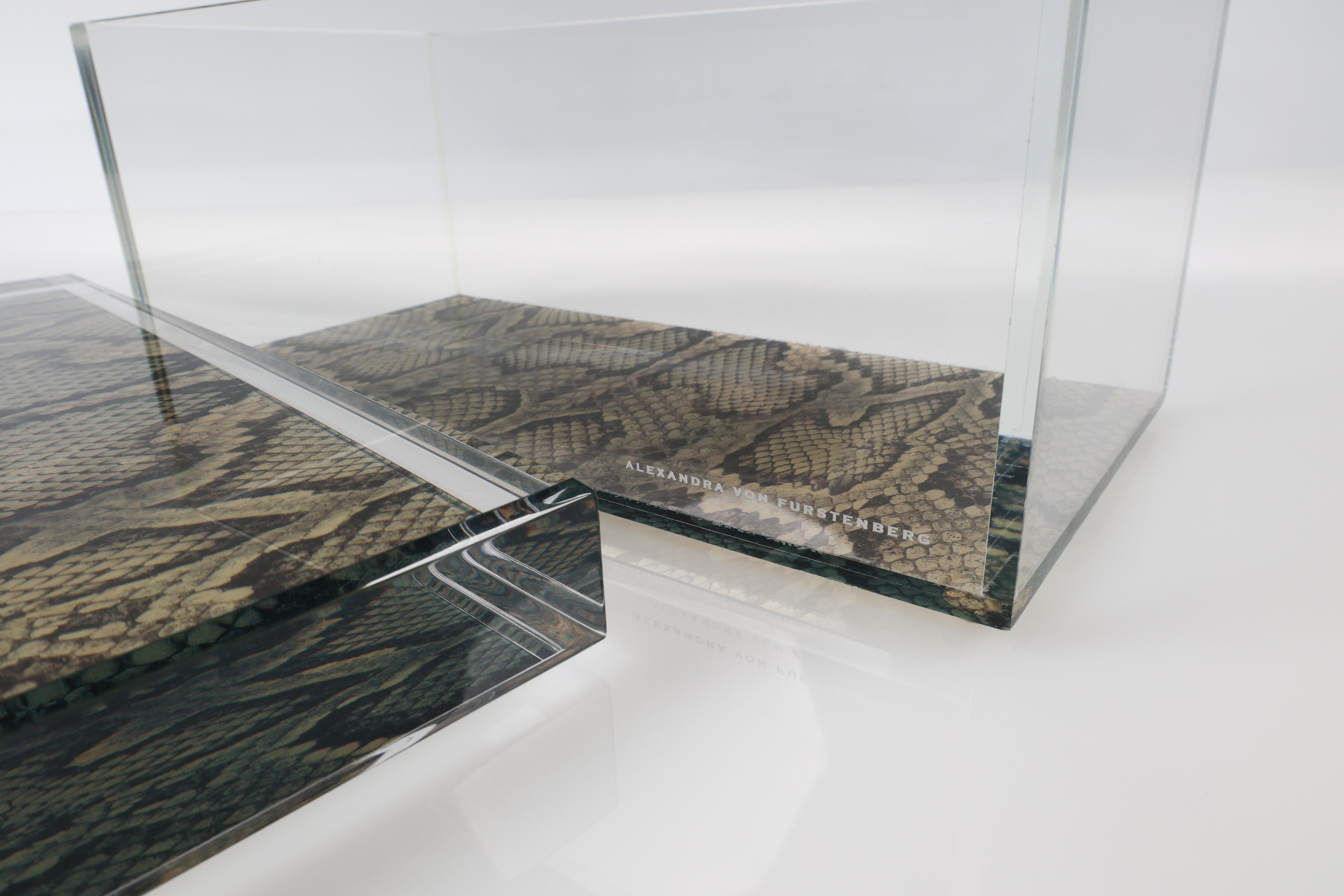 Caja acrílica del tesoro Alexandra Von Furstenberg con estampado de serpiente - Caja grande Estadounidense en venta