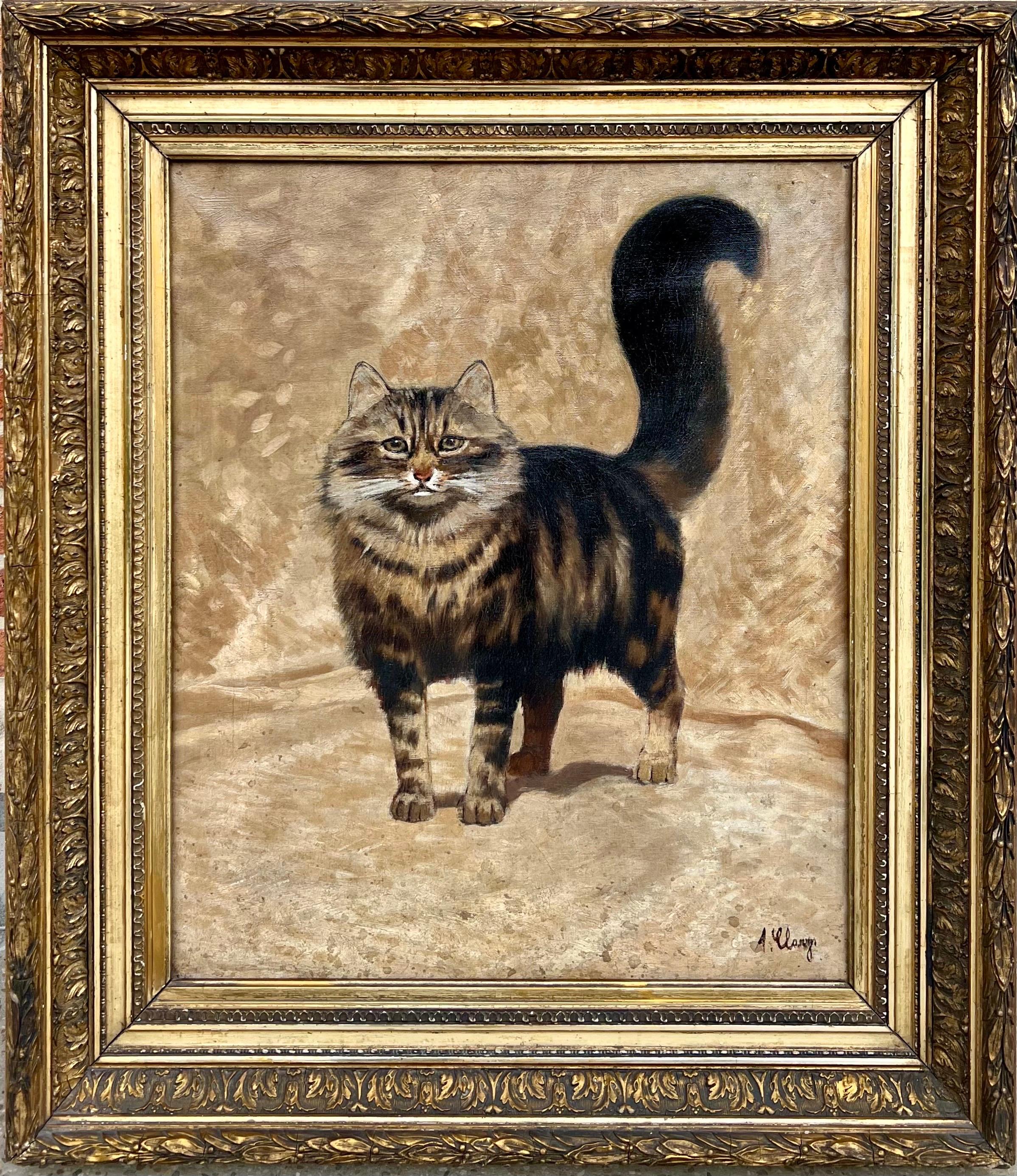 19th century cat portrait painting - "Le Chat " - Ragamuffin - Maine coon