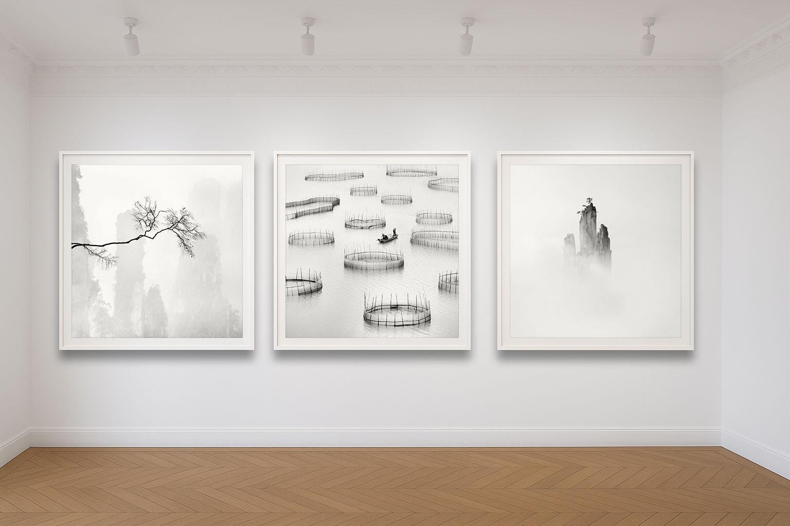 Celeste 2, China - Contemporary Photograph by Alexandre Manuel