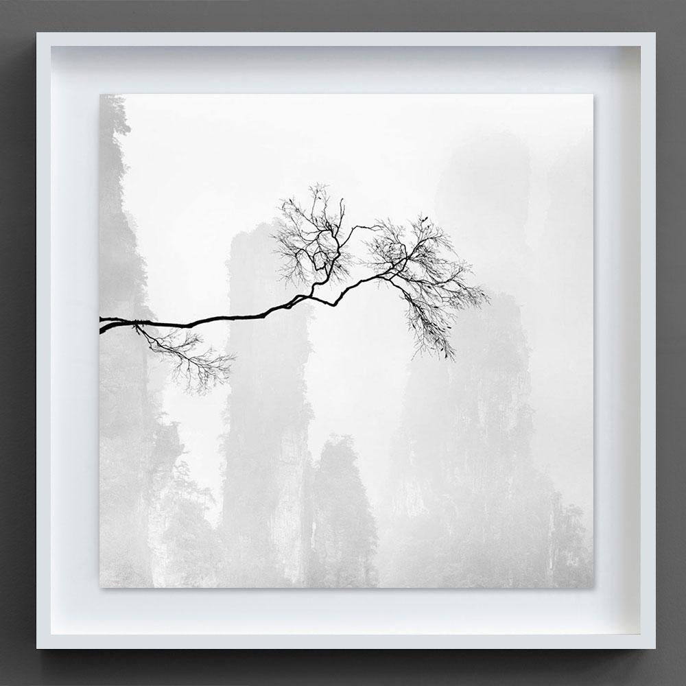 Celeste 2, China - Gray Black and White Photograph by Alexandre Manuel