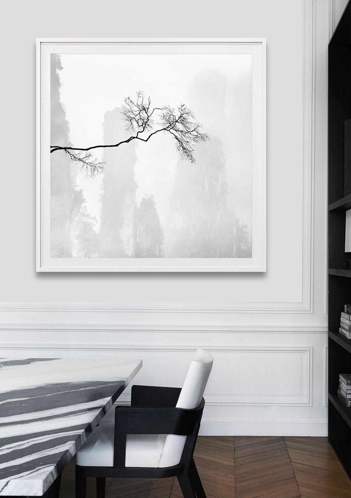 Celeste 2, China For Sale 2