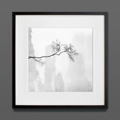 Celeste I, China, Archival Print, 2017 (20x20in)