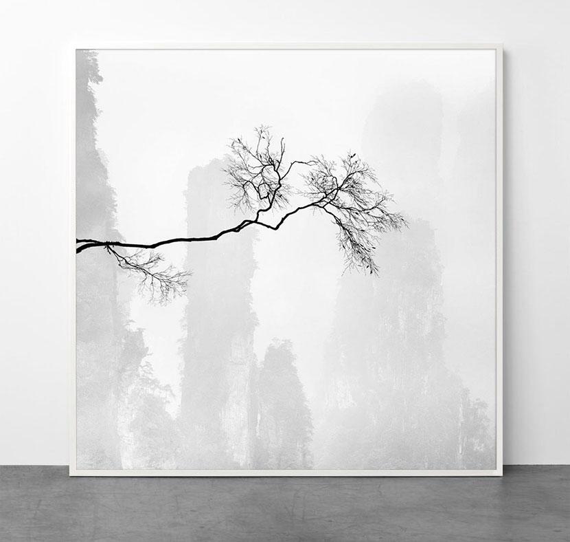 Celeste I, China - Photograph by Alexandre Manuel