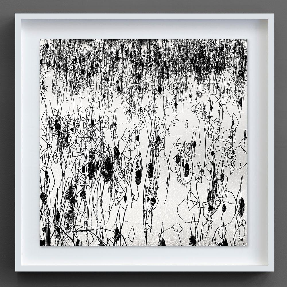 Alexandre Manuel’s work captures landscapes at the delicate intersection of absence and presence, where nature unfolds with quiet drama. Through refined long-exposure techniques, each image conveys a serene temporality, transforming ordinary