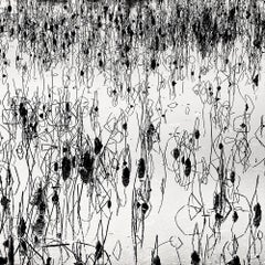 Constellation, China, Lost in Abstraction (B&W Photography)