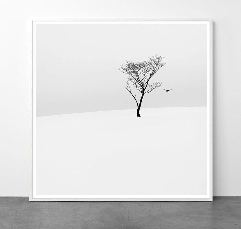 Eternal - ETHEREAL 1 by Alexandre Manuel (Black and white minimalist) For Sale 1