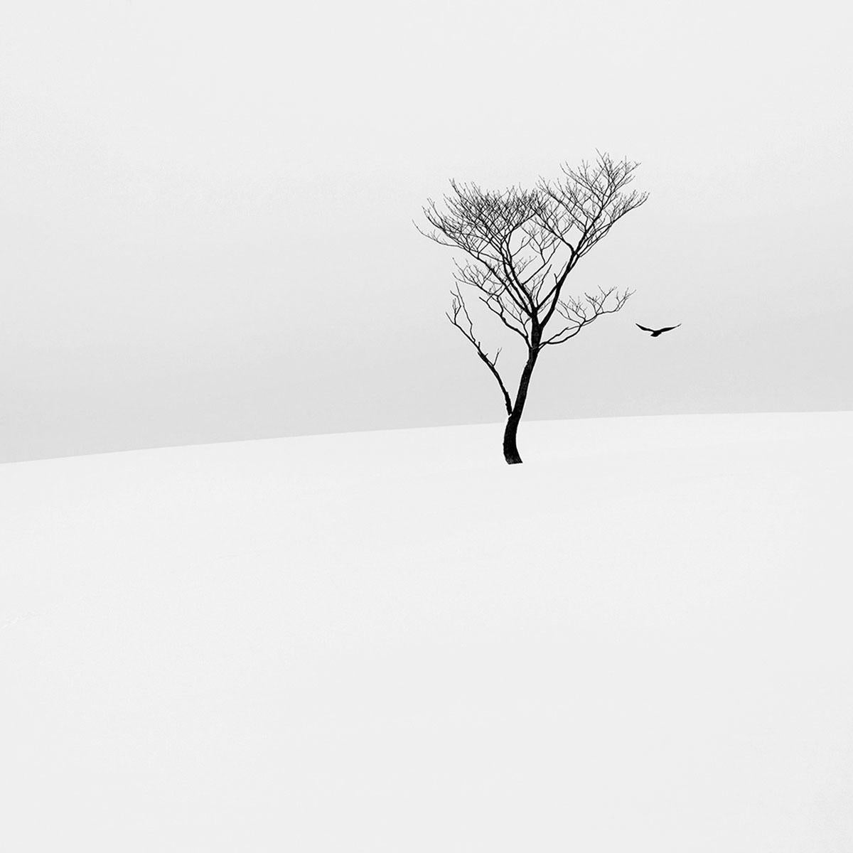 Eternal - ETHEREAL 1 by Alexandre Manuel (Black and white minimalist)