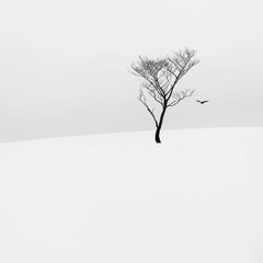 Eternal - ETHEREAL 1 by Alexandre Manuel (Black and white minimalist)