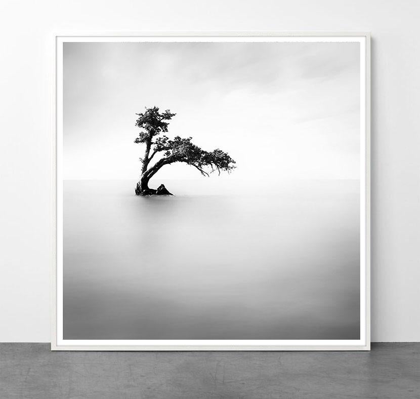 Eternal - ETHEREAL 2 by Alexandre Manuel (Black and white minimalist) For Sale 1