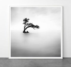 Eternal - ETHEREAL 2 by Alexandre Manuel (Black and white minimalist)