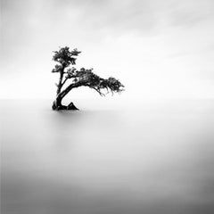 Eternal - ETHEREAL 2 by Alexandre Manuel (Black and white minimalist)
