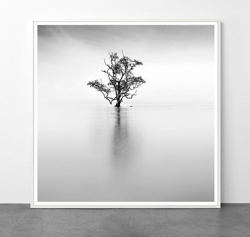 Eternal - ETHEREAL 3 by Alexandre Manuel (Black and white minimalist) For Sale 1