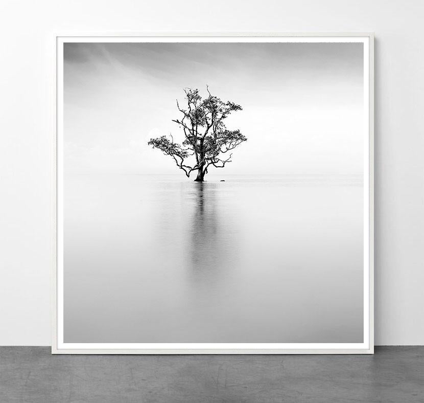 Eterno - ETHEREAL 3 de Alexandre Manuel (Blanco y negro minimalista) en venta 1