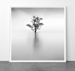 Eternal - ETHEREAL 3 by Alexandre Manuel (Black and white minimalist)