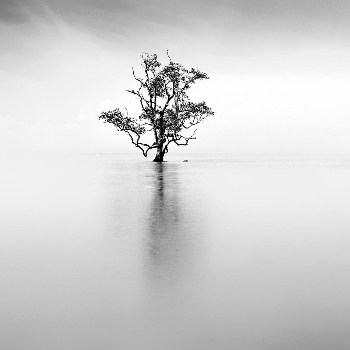 Eternal - ETHEREAL 3 by Alexandre Manuel (Black and white minimalist)