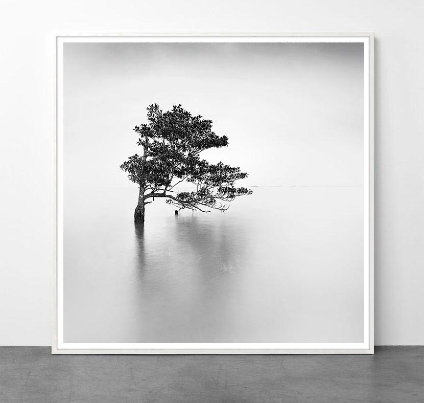 Eternal - ETHEREAL 4 par Alexandre Manuel (Noir et blanc minimaliste) en vente 1