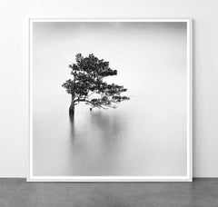 Eternal - ETHEREAL 4 di Alexandre Manuel (minimalista in bianco e nero)